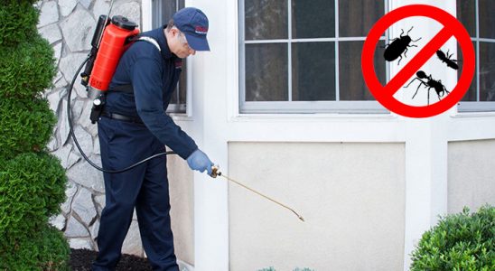 Akçakoca Hamam Böceği İlaçlama böcek ilaçlama ve haşere kontrolü — ilaclama-tr.com